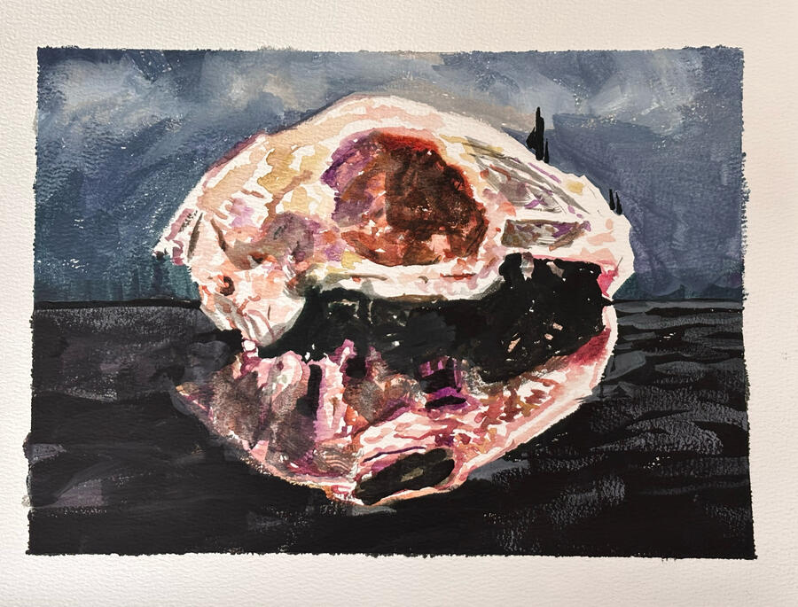 insula I
