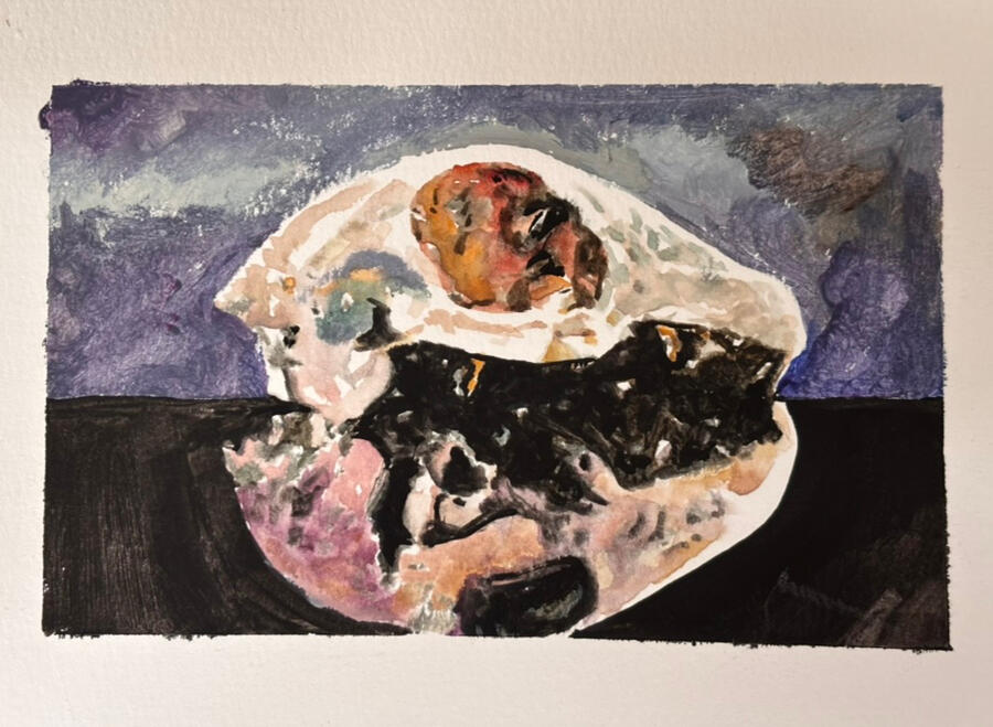insula study
